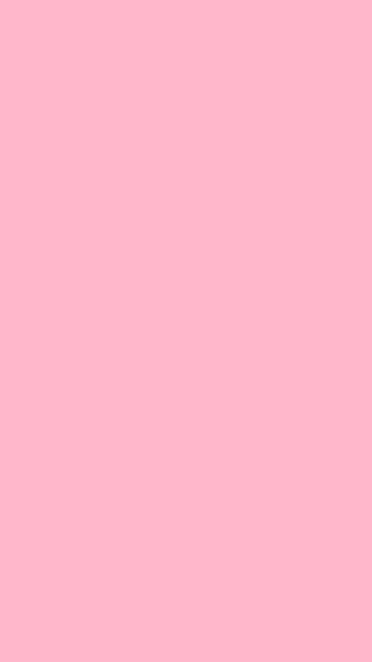 The Single Halal Varnish (Multiple Colours)