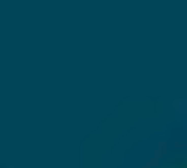 The Single Halal Varnish (Multiple Colours)